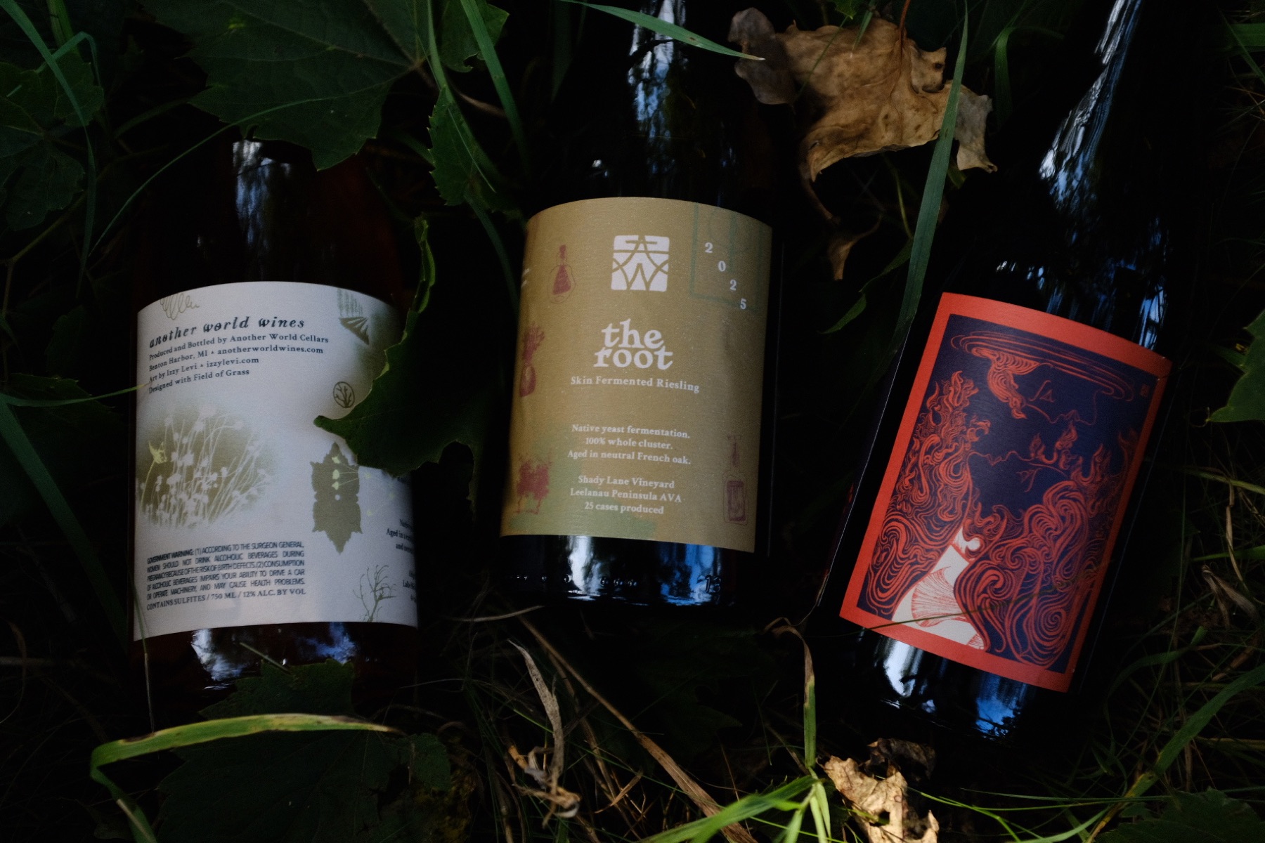 Three bottles of Another World Wines nestled among grapevines