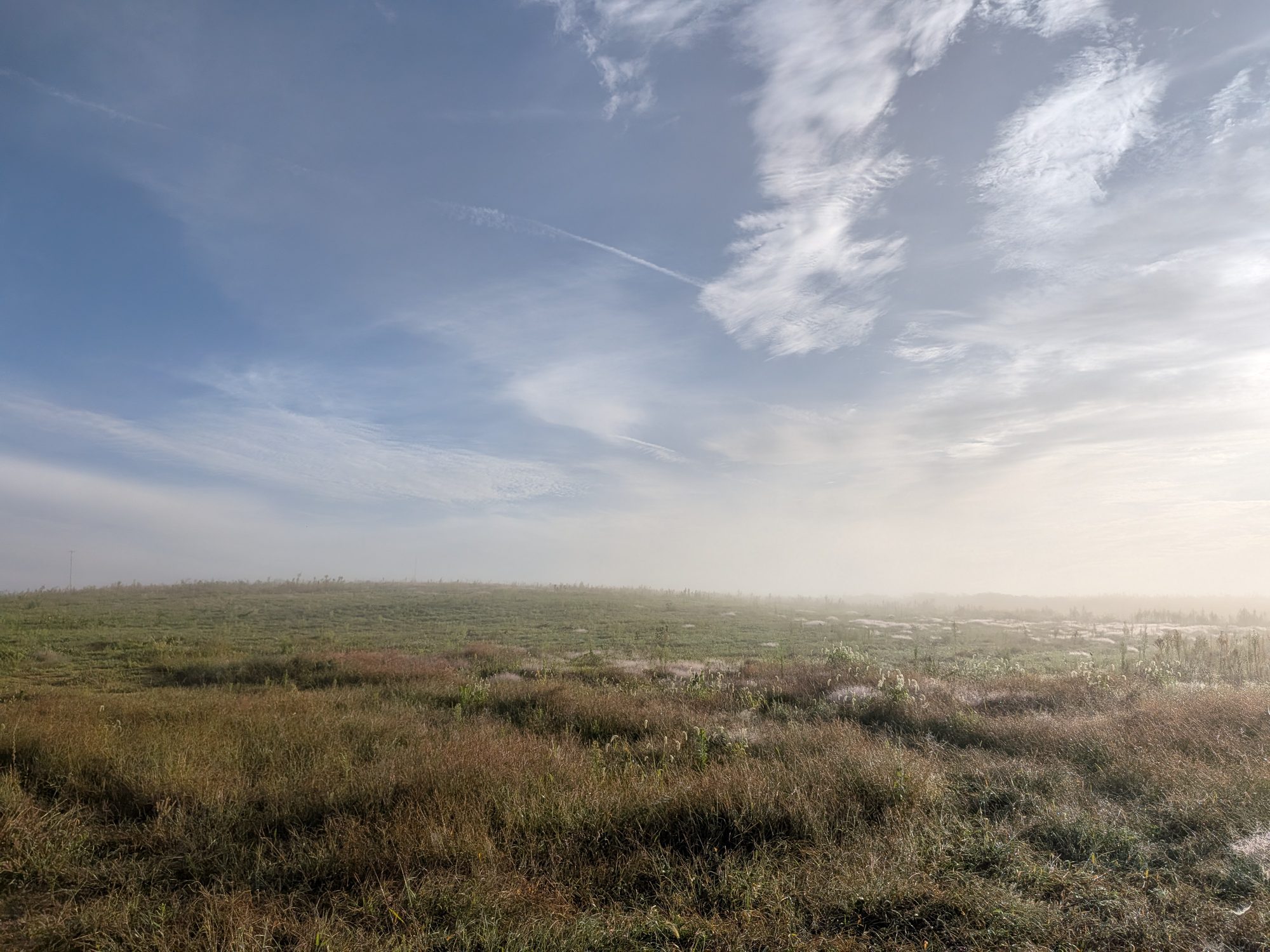 The future vineyard beneath a misty morning sky