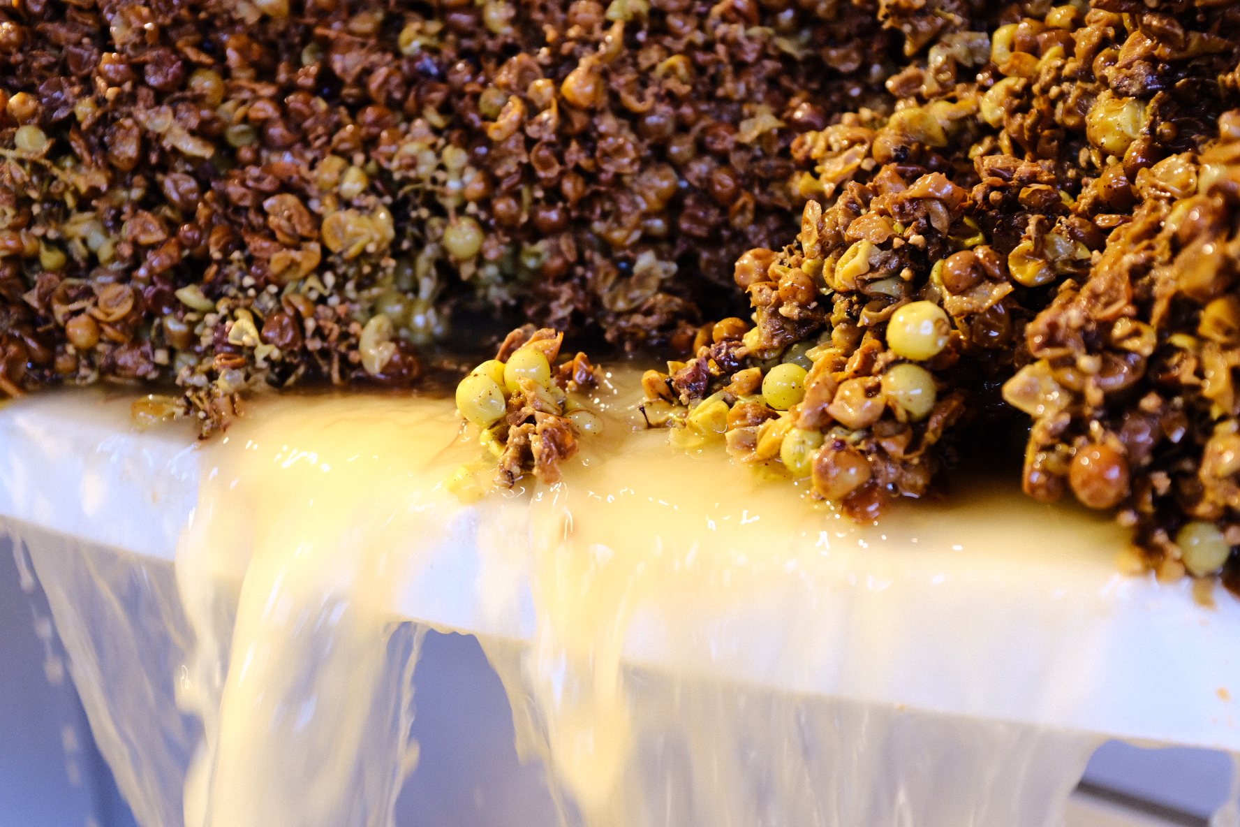 Freshly pressed grapes and juice flowing from a wine press